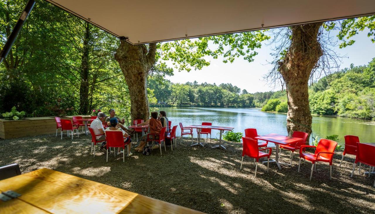 Camping L'Etang D'Ardy *** サン・ポール・レ・ダックス エクステリア 写真