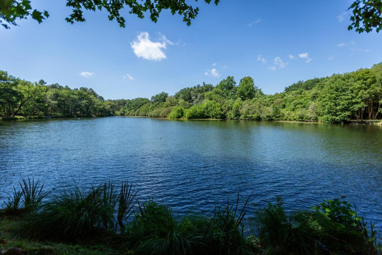 Camping L'Etang D'Ardy *** サン・ポール・レ・ダックス エクステリア 写真