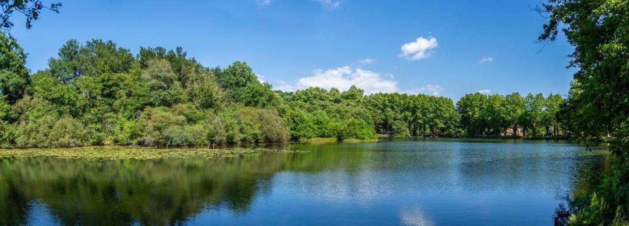 Camping L'Etang D'Ardy *** サン・ポール・レ・ダックス エクステリア 写真
