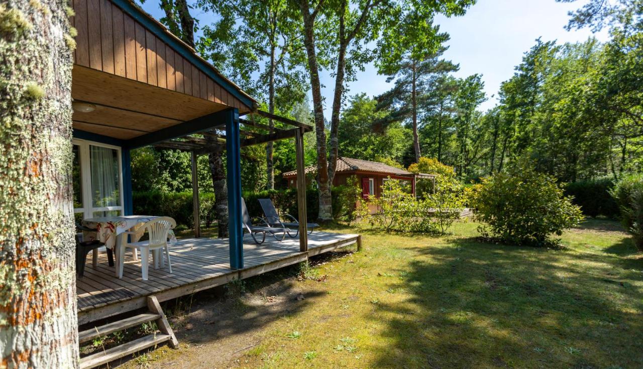 Camping L'Etang D'Ardy *** サン・ポール・レ・ダックス エクステリア 写真