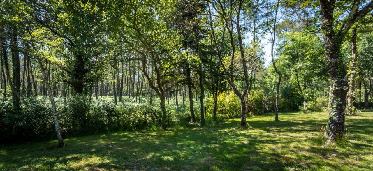 Camping L'Etang D'Ardy *** サン・ポール・レ・ダックス エクステリア 写真